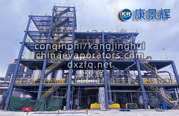 處理量29t/h硫酸鈉、硫酸銨預(yù)處理+蒸發(fā)分鹽+母液干化系統(tǒng)