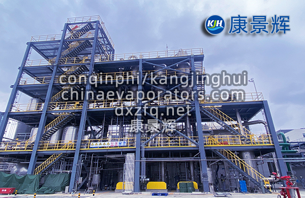 處理量29t/h硫酸鈉、硫酸銨預(yù)處理+蒸發(fā)分鹽+母液干化系統(tǒng)