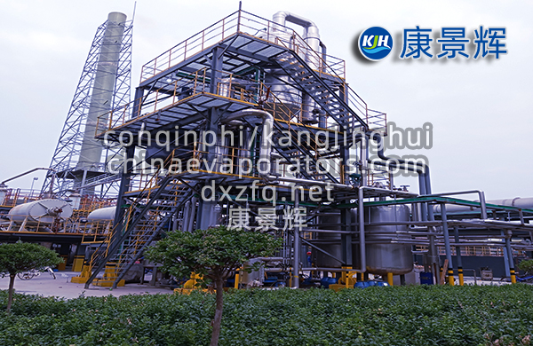 氯化鈉MVR強制循環蒸發器